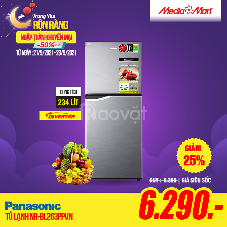 Tủ lạnh Panasonic inverter 234L